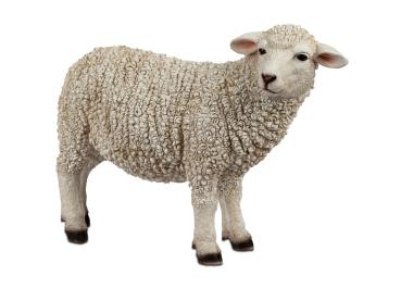 Dekoration für Frühling und Ostern: Naturgetreues stehendes Schaf, 43 cm